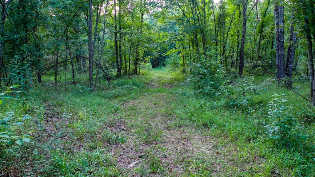 0 Hwy 49 Property Photo 20