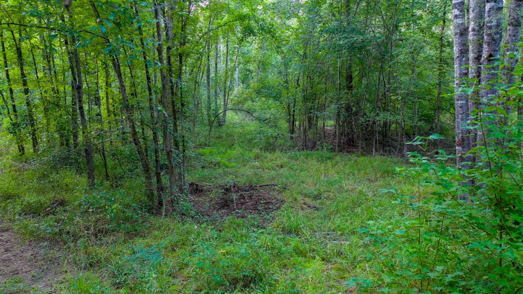 0 Hwy 49 Property Photo 21