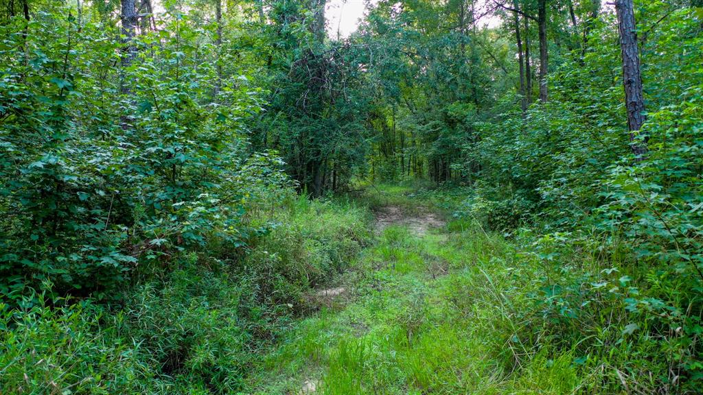0 Hwy 49 Property Photo 22