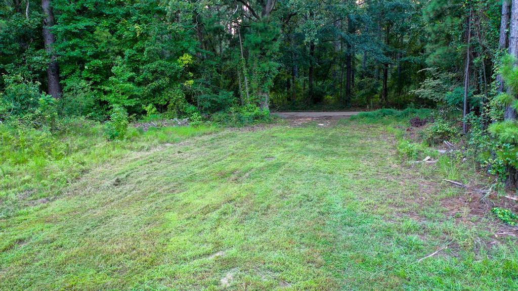 0 Hwy 49 Property Photo 30