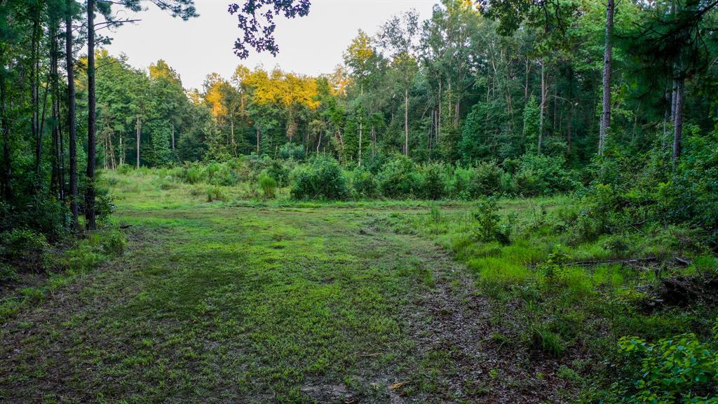 0 Hwy 49 Property Photo 31