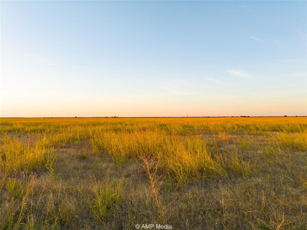 Lot 8 County Road 503 Property Photo 2