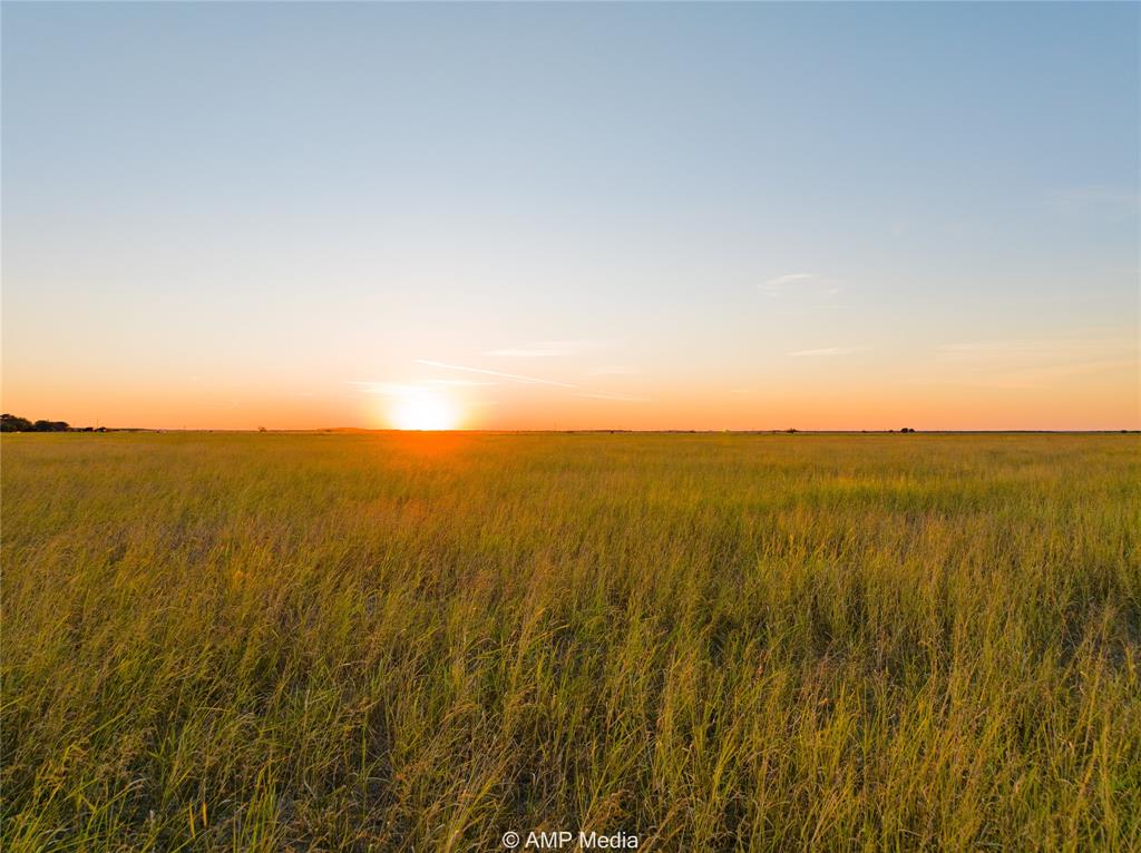 Lot 8 County Road 503 Property Photo 6