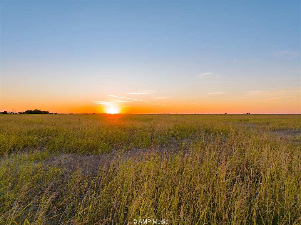 Lot 8 County Road 503 Property Photo 8
