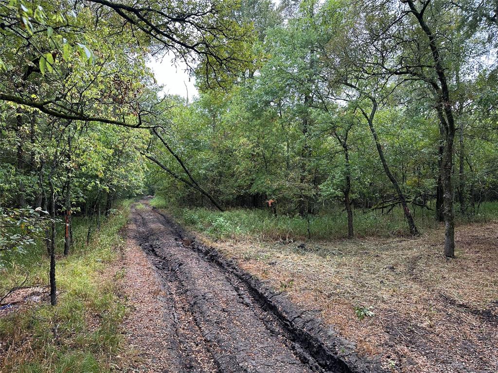 Tbd Cr-4727 Property Photo 2