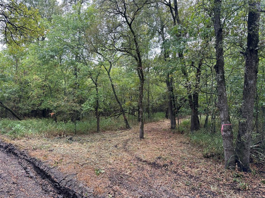 Tbd Cr-4727 Property Photo 3