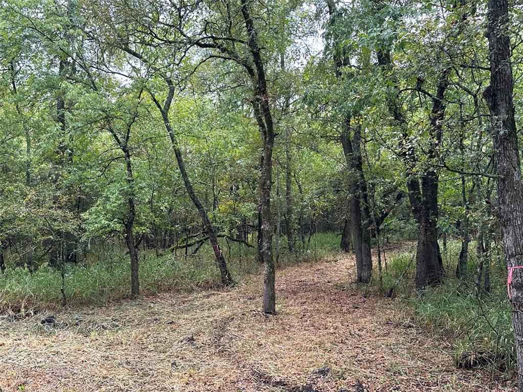 Tbd Cr-4727 Property Photo 4
