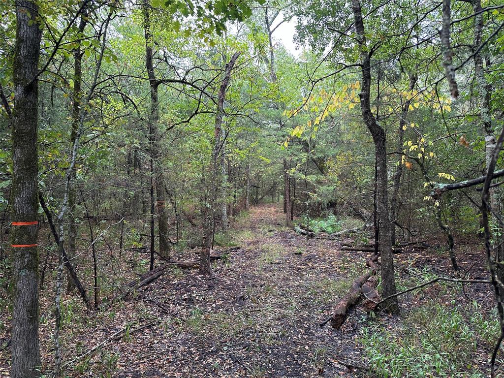 Tbd Cr-4727 Property Photo 5