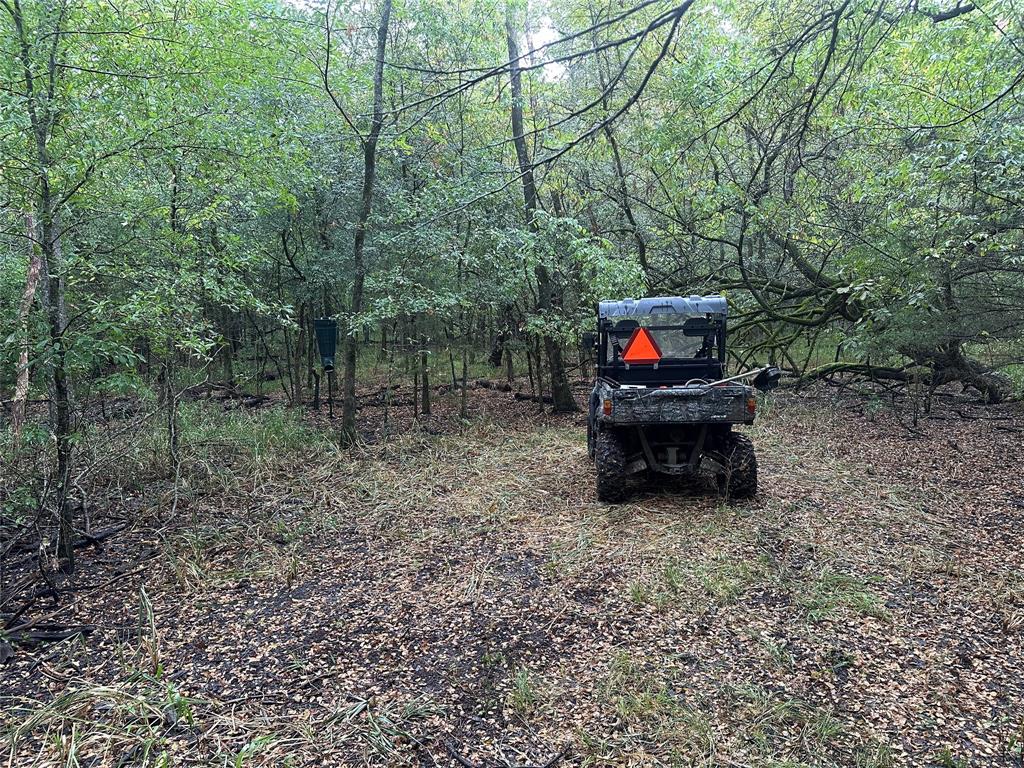 Tbd Cr-4727 Property Photo 6