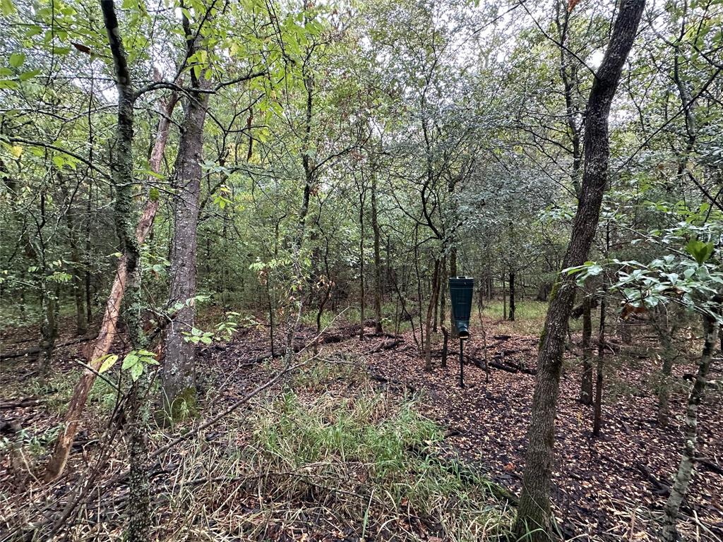 Tbd Cr-4727 Property Photo 8