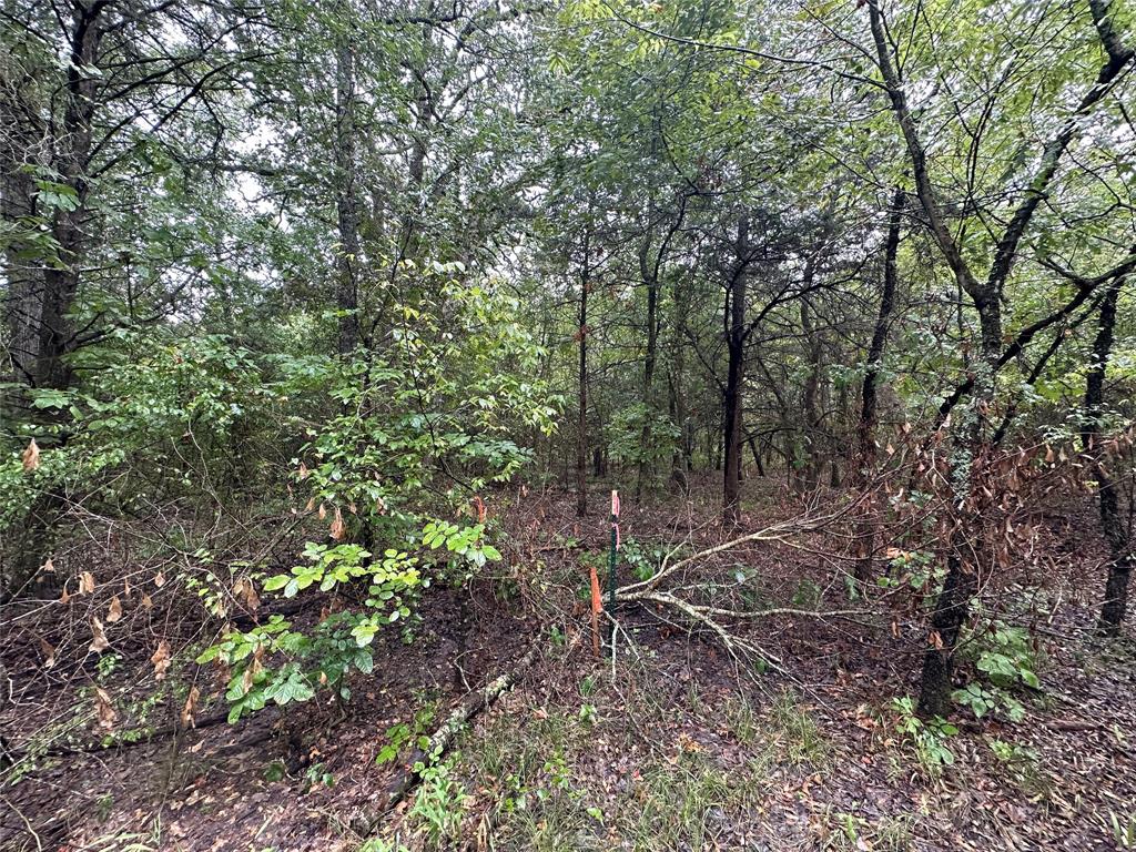 Tbd Cr-4727 Property Photo 13