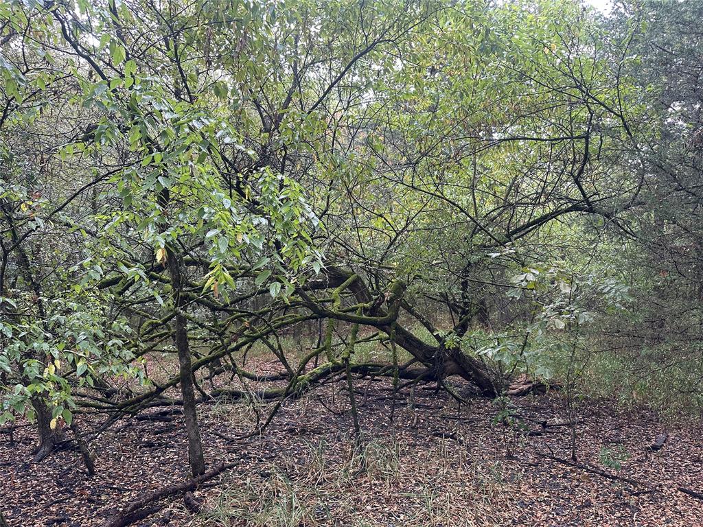 Tbd Cr-4727 Property Photo 14