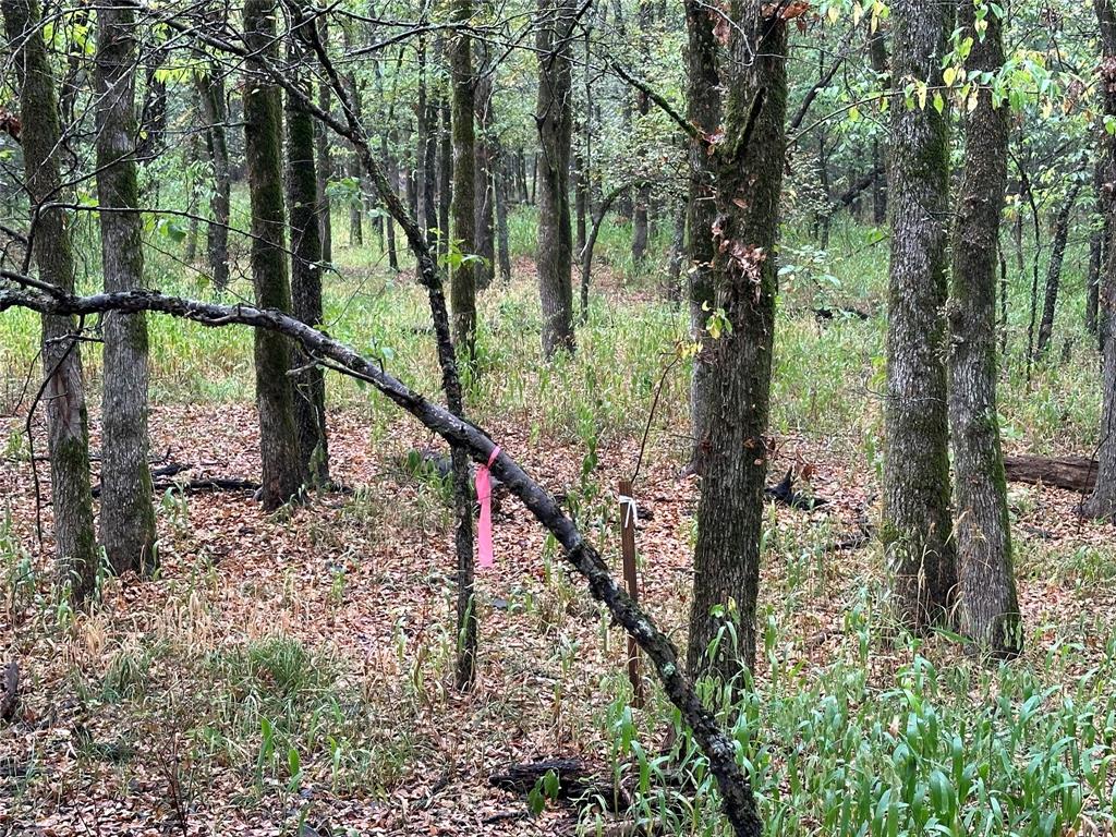 Tbd Cr-4727 Property Photo 15