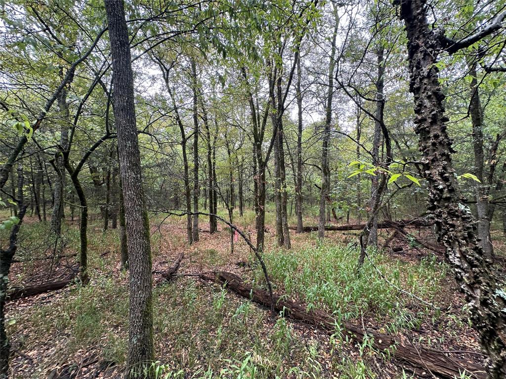 Tbd Cr-4727 Property Photo 16