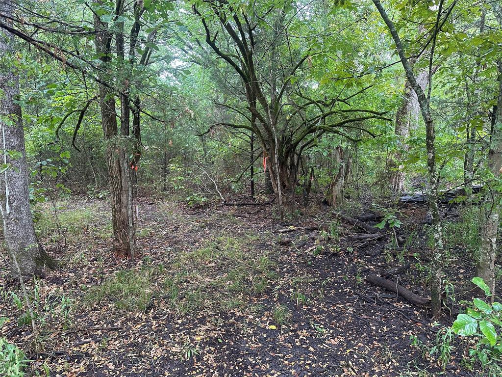 Tbd Cr-4727 Property Photo 18