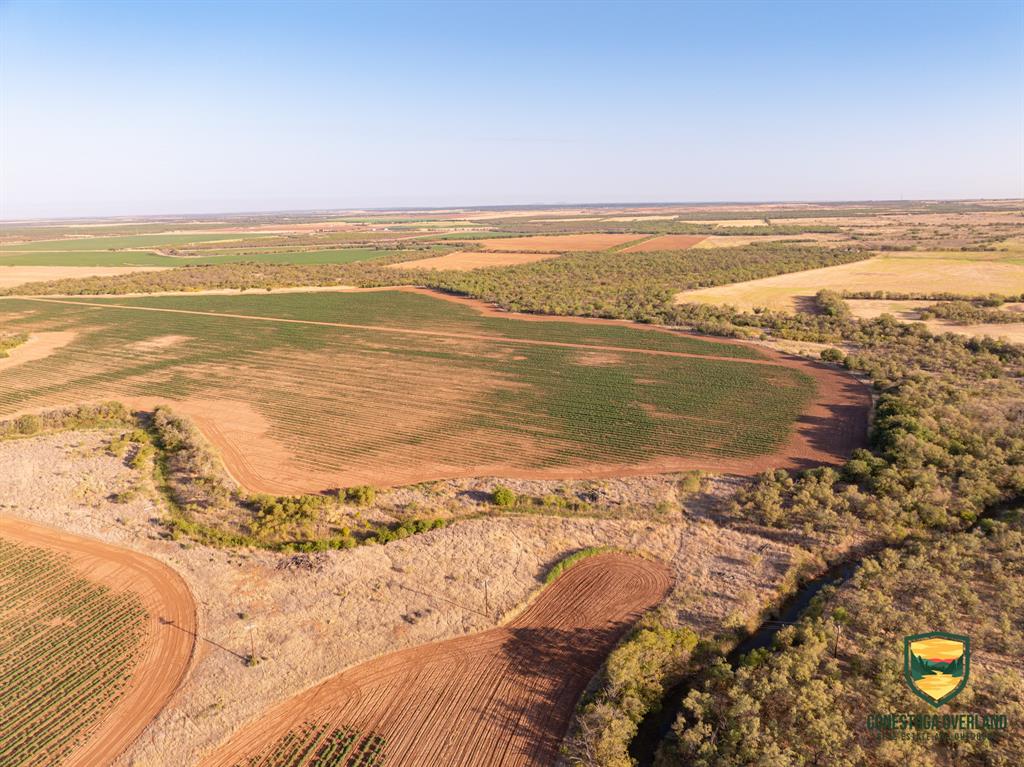 Tbd County Road 158 Property Photo 1