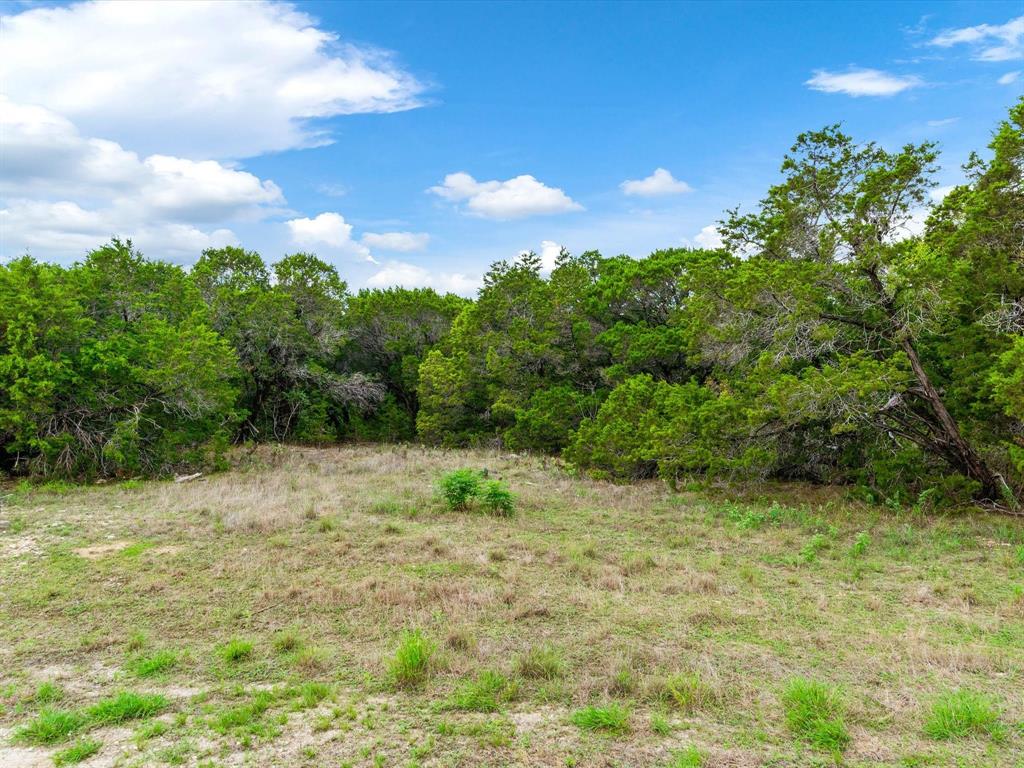 8208 Southerness Lane Property Photo 4