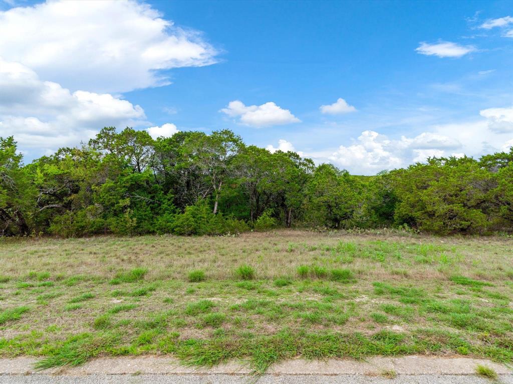 8208 Southerness Lane Property Photo 5