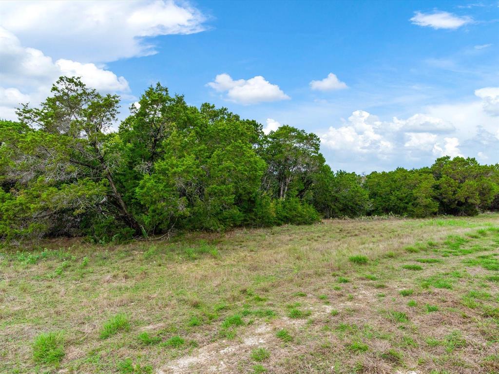 8208 Southerness Lane Property Photo 6