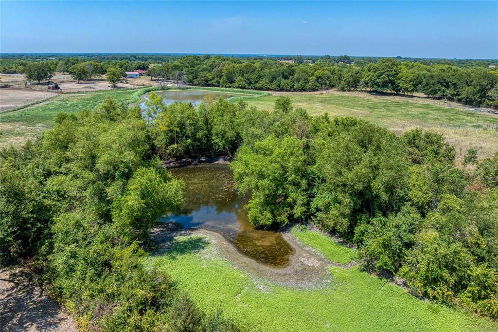 9310 S State Highway 78 Property Photo 13