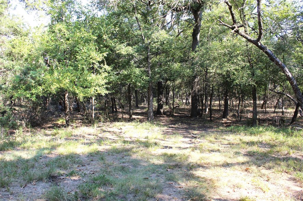 1365 Tennyson Drive Property Photo 22