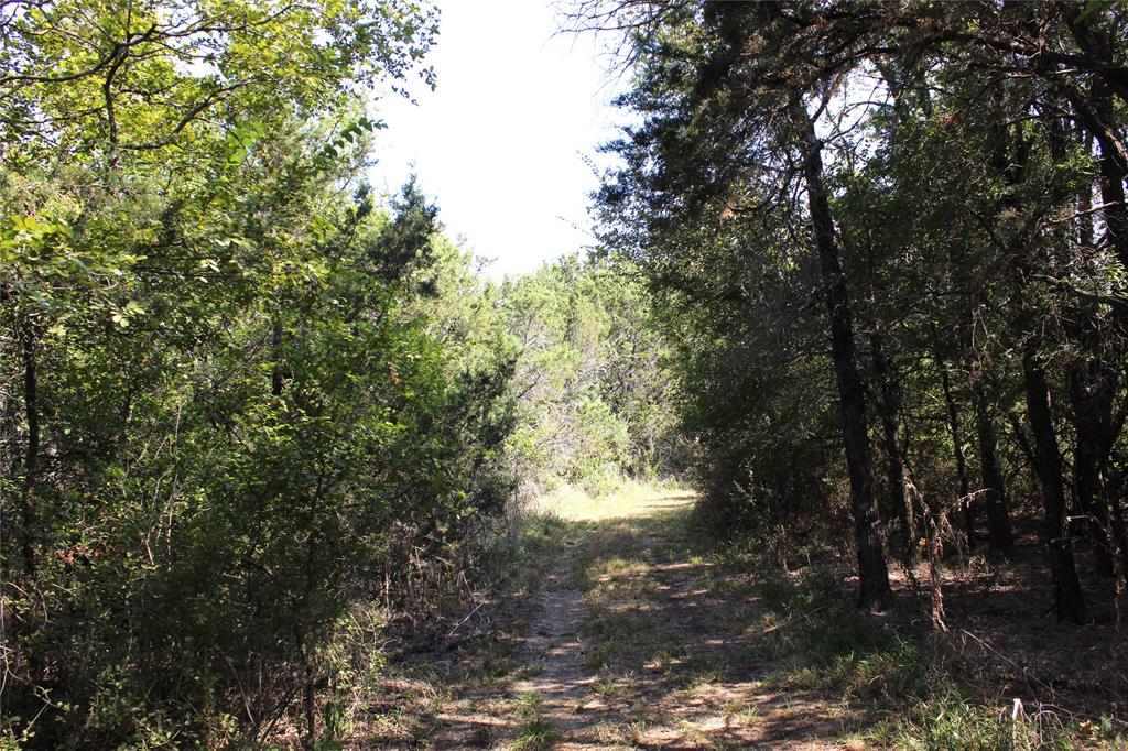 1365 Tennyson Drive Property Photo 26