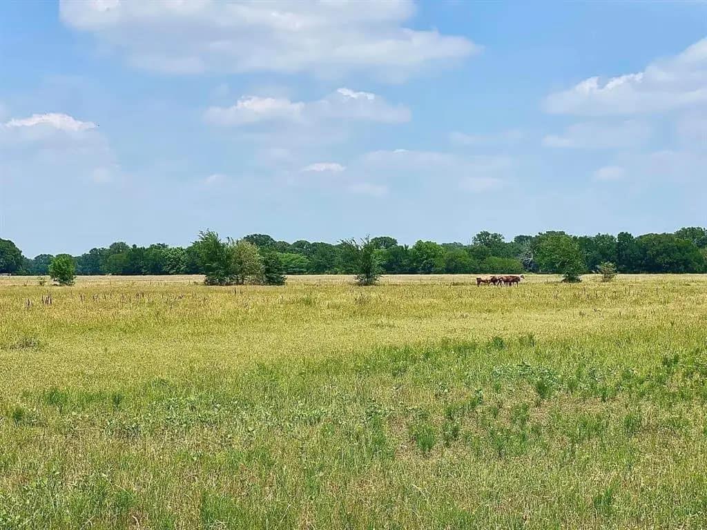 12053 S 34 Highway Property Photo 2