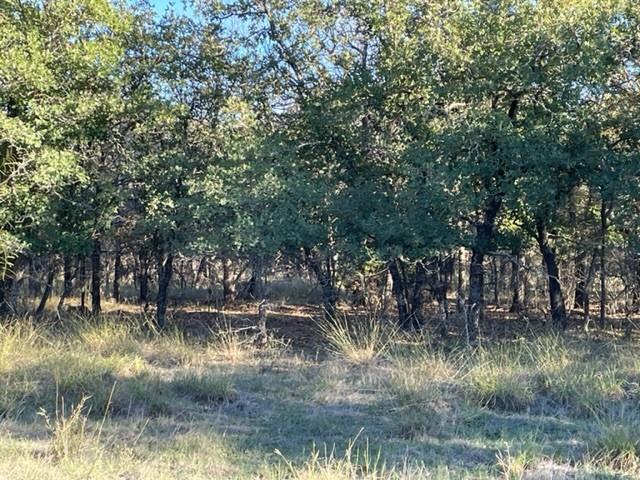 Xxx Creek Meadow Court Property Photo 2