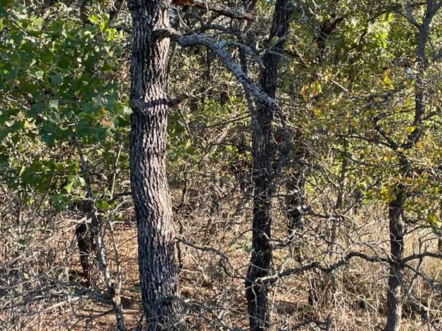 Xxx Creek Meadow Court Property Photo 8