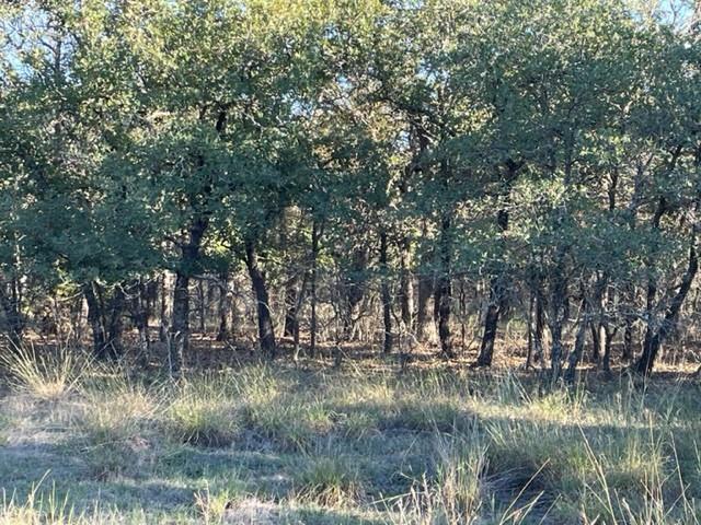 Xxx Creek Meadow Court Property Photo 10