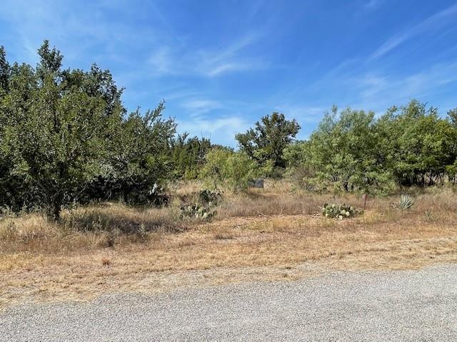 Lot 32 Jennifer Lane Property Photo 1