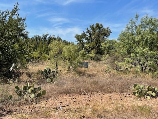 Lot 32 Jennifer Lane Property Photo 2