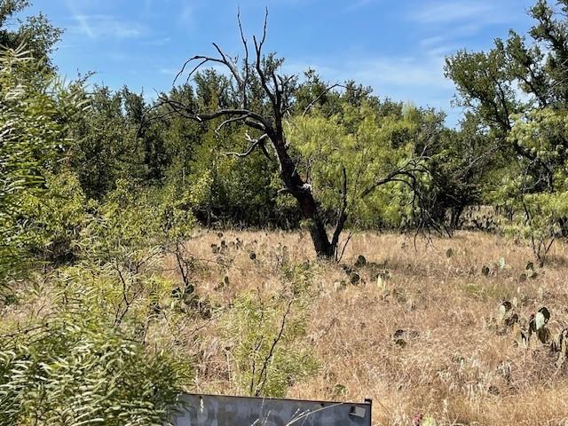 Lot 32 Jennifer Lane Property Photo 3