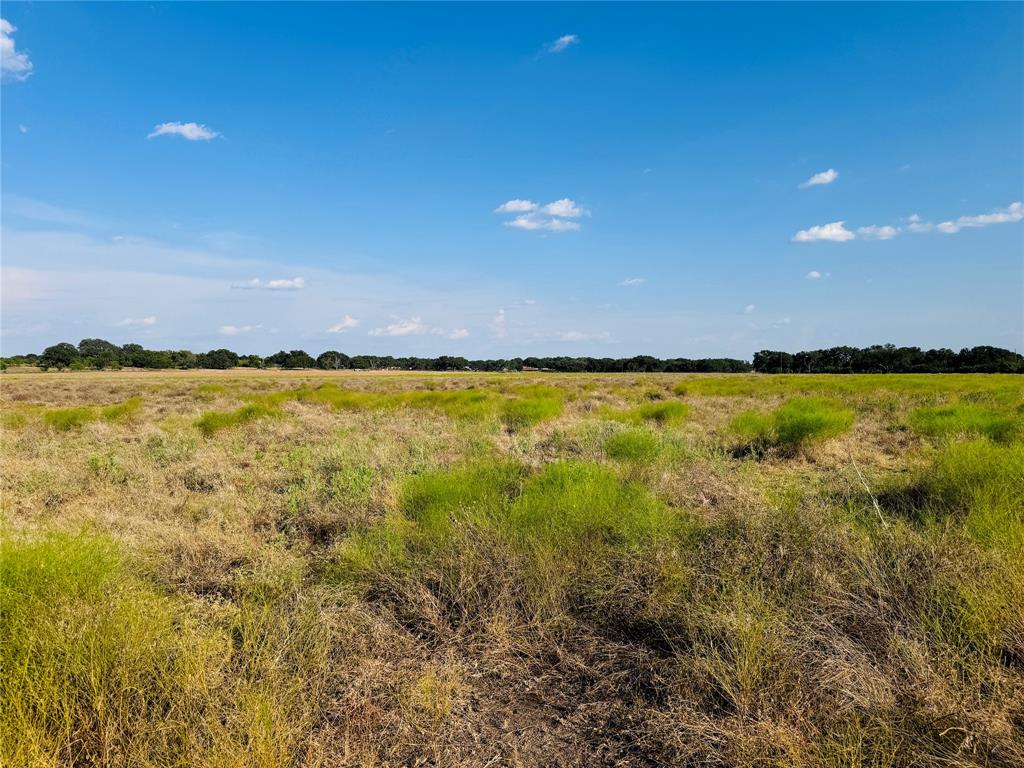 13301 County Road 291 Property Photo