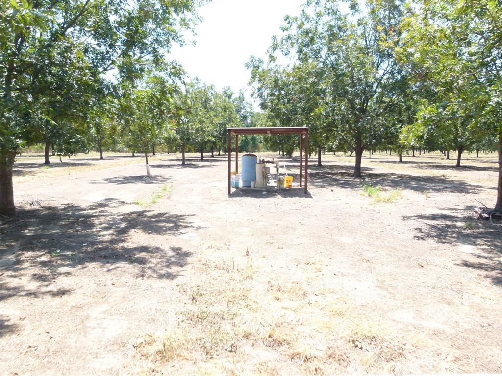Tbd County Road 216 Property Photo 17