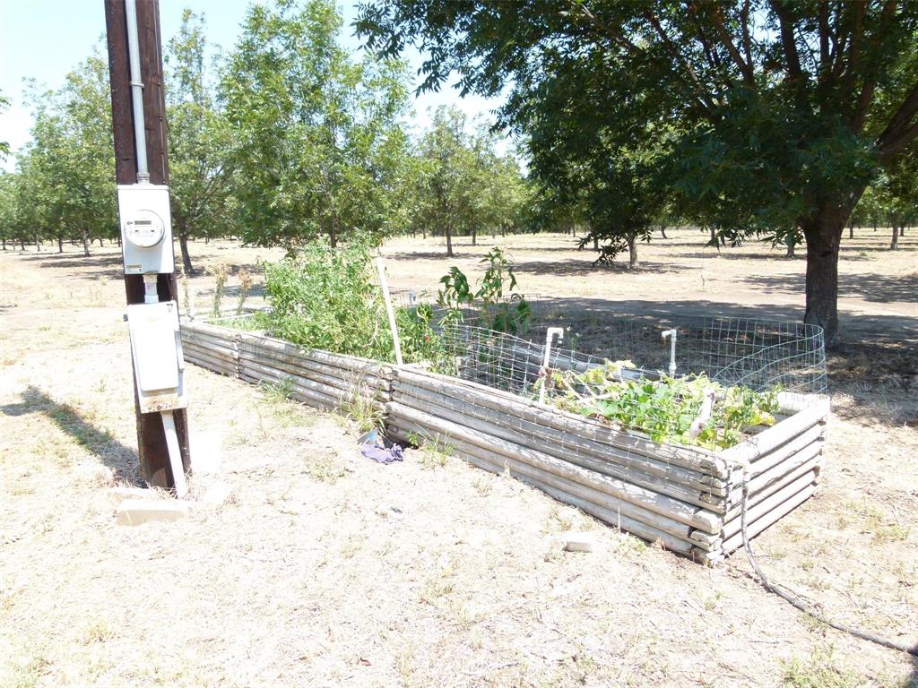 Tbd County Road 216 Property Photo 19
