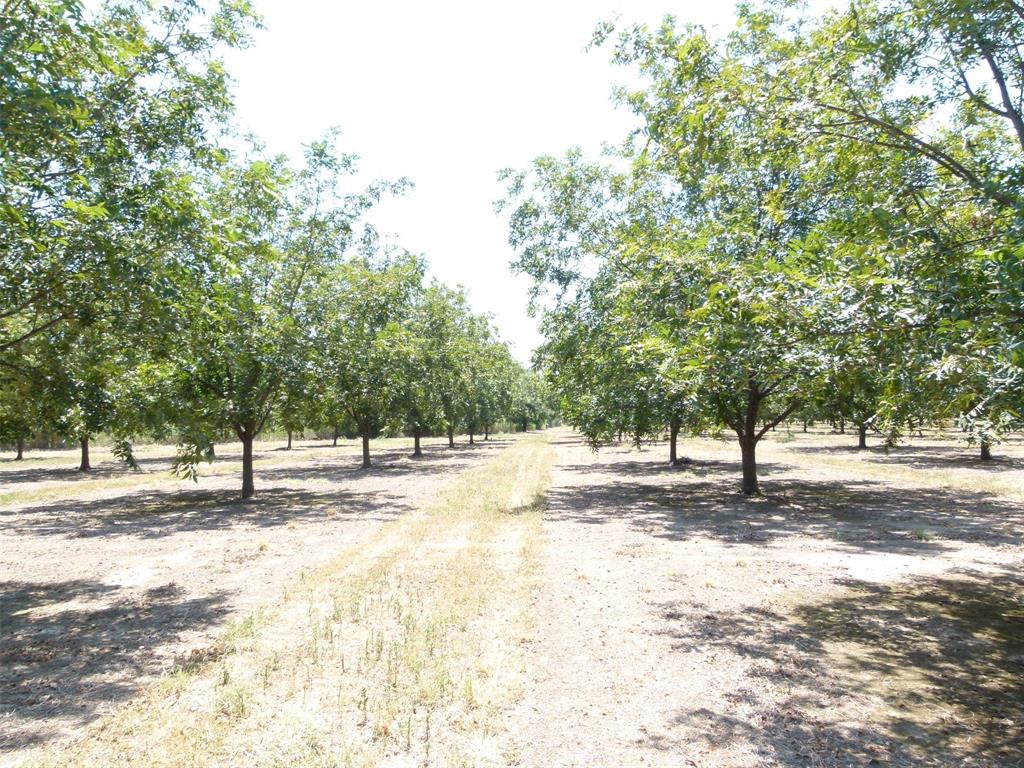 Tbd County Road 216 Property Photo 21