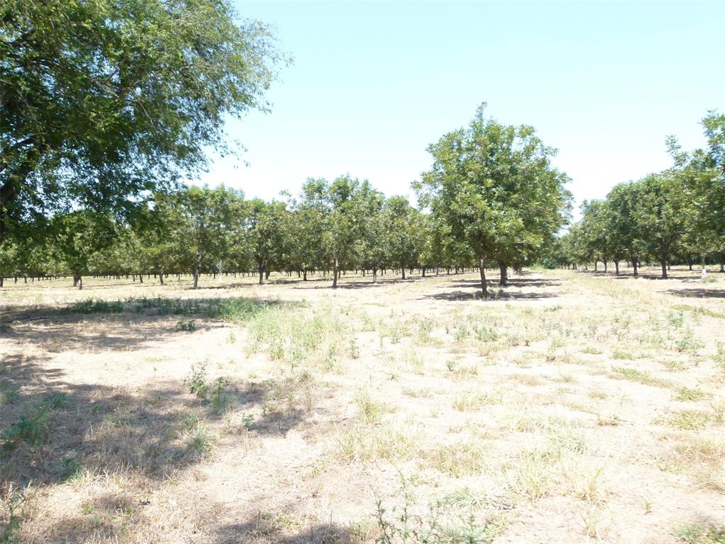 Tbd County Road 216 Property Photo 24