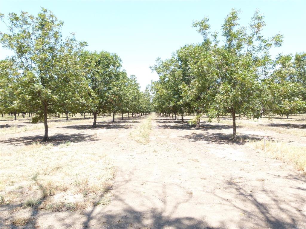 Tbd County Road 216 Property Photo 26