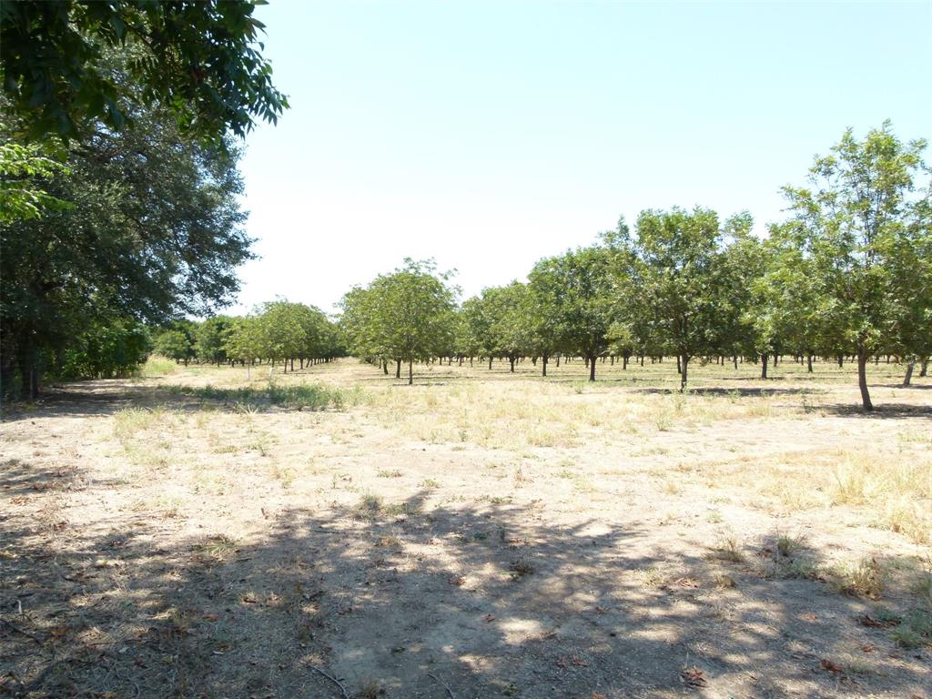 Tbd County Road 216 Property Photo 27