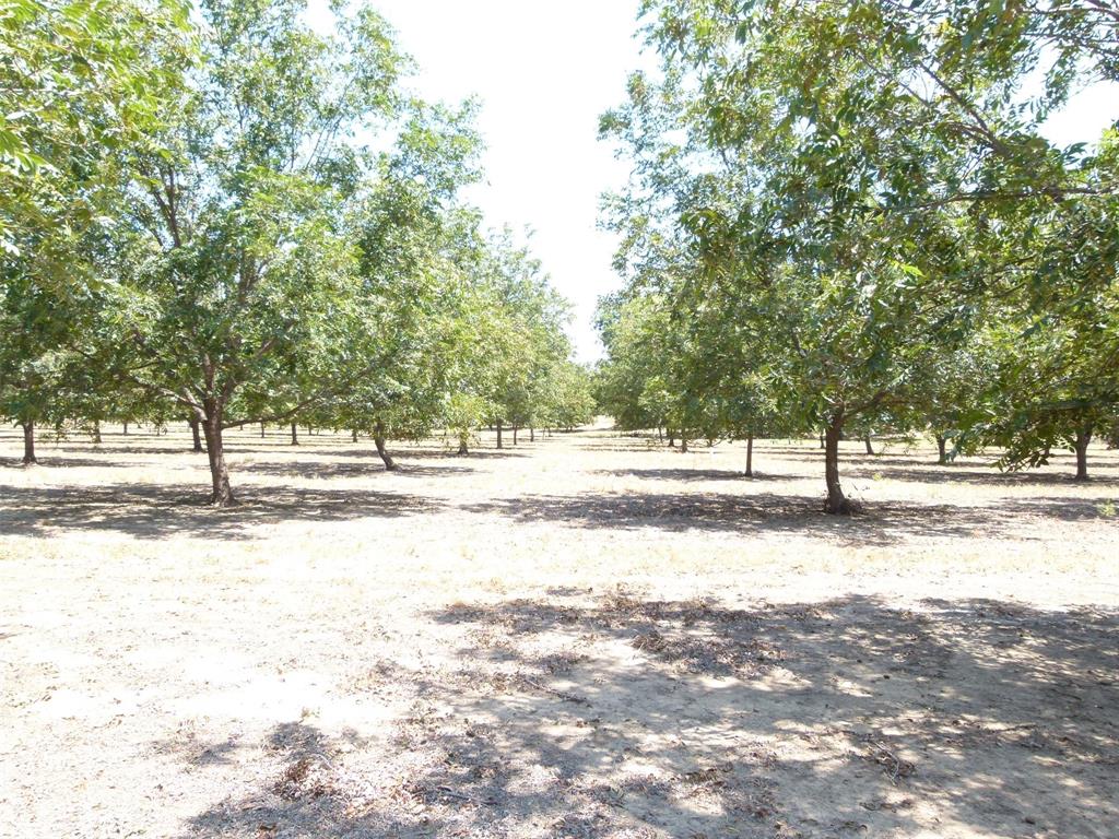 Tbd County Road 216 Property Photo 28