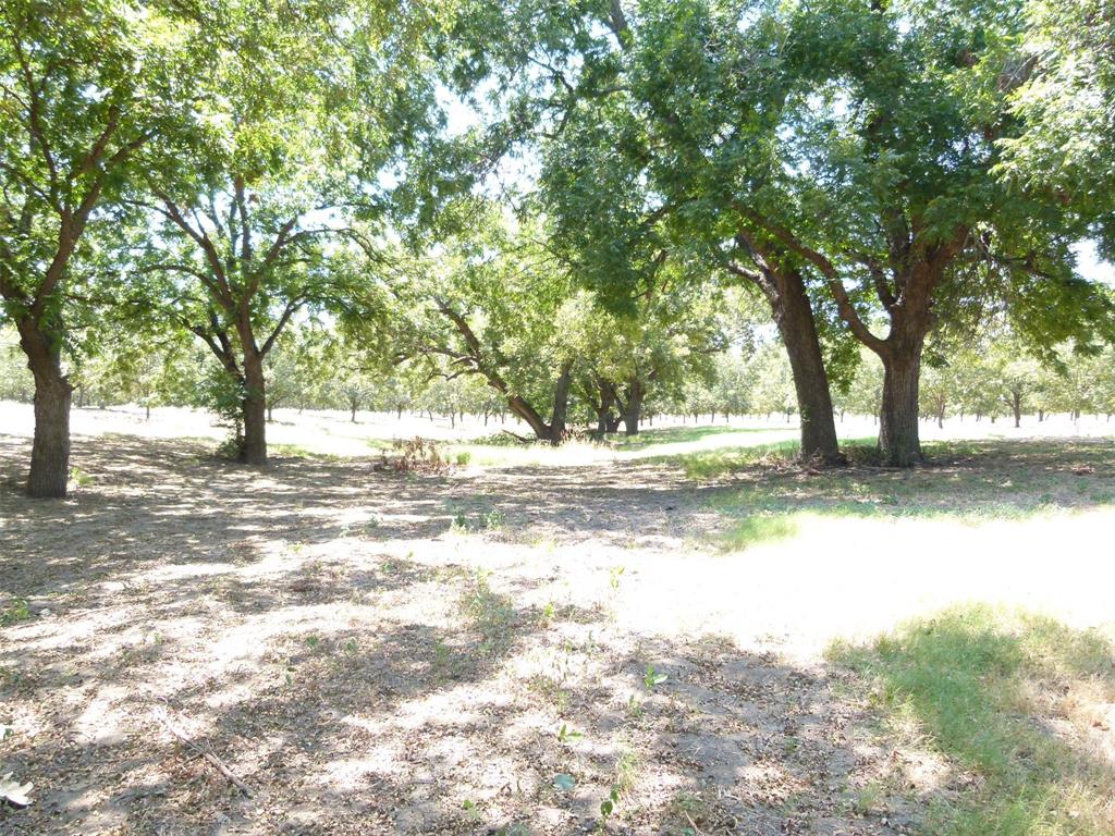 Tbd County Road 216 Property Photo 29