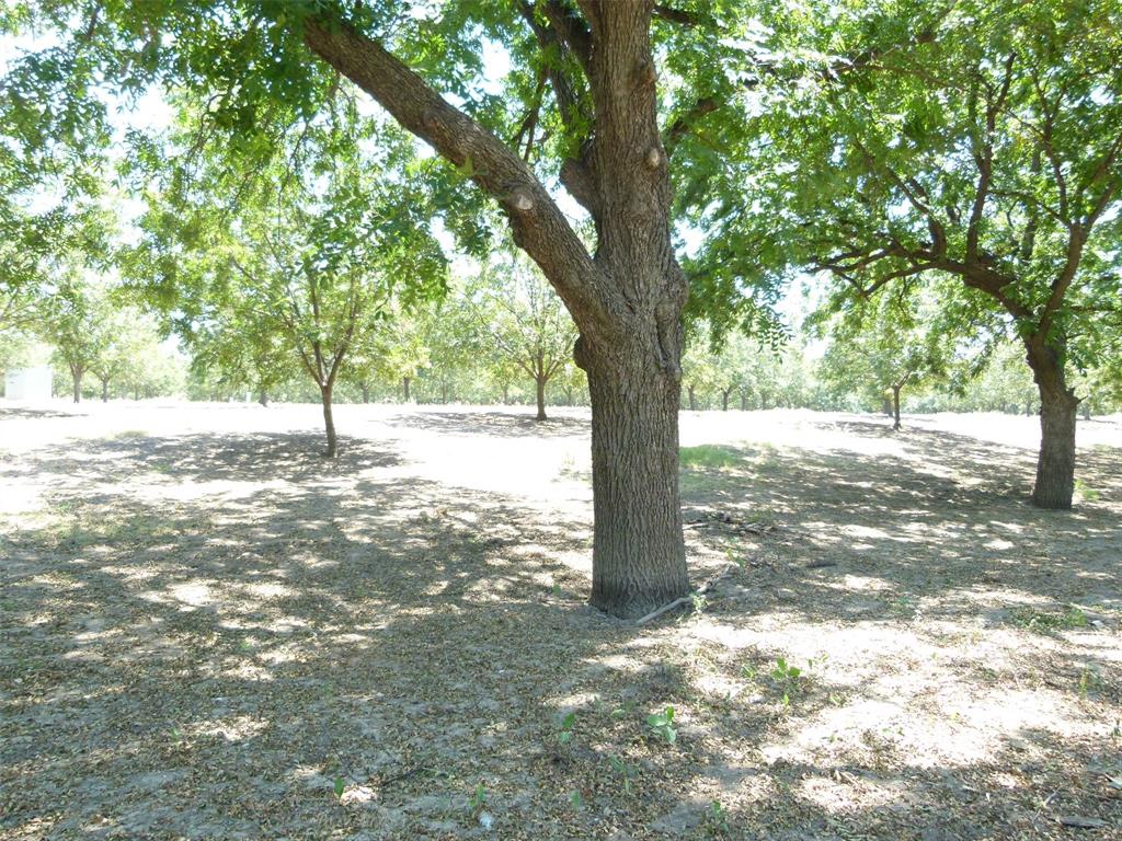 Tbd County Road 216 Property Photo 30