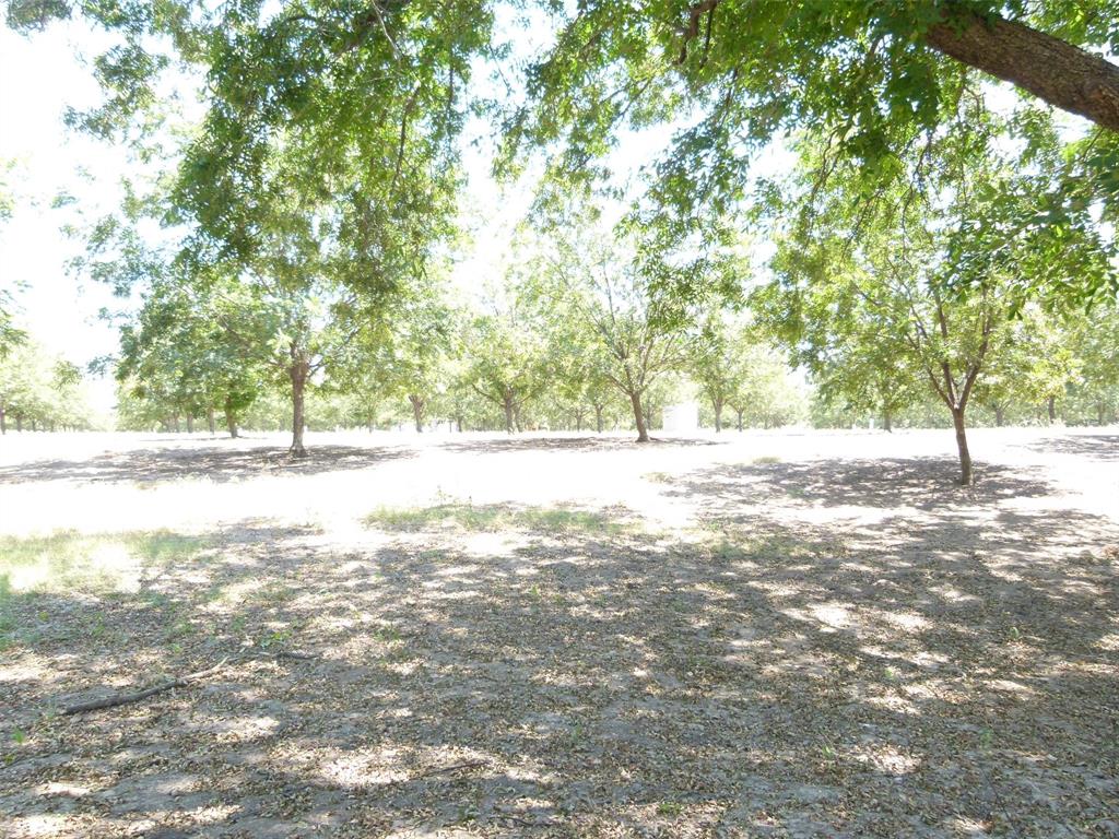Tbd County Road 216 Property Photo 31
