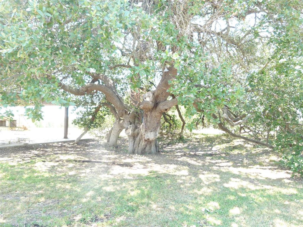 Tbd County Road 216 Property Photo 34