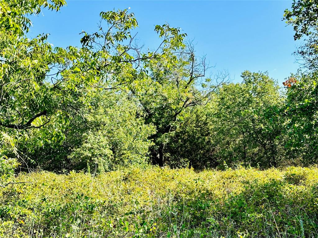 Tbd Cr 419 Property Photo 1