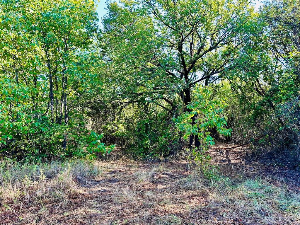 Tbd Cr 419 Property Photo 2