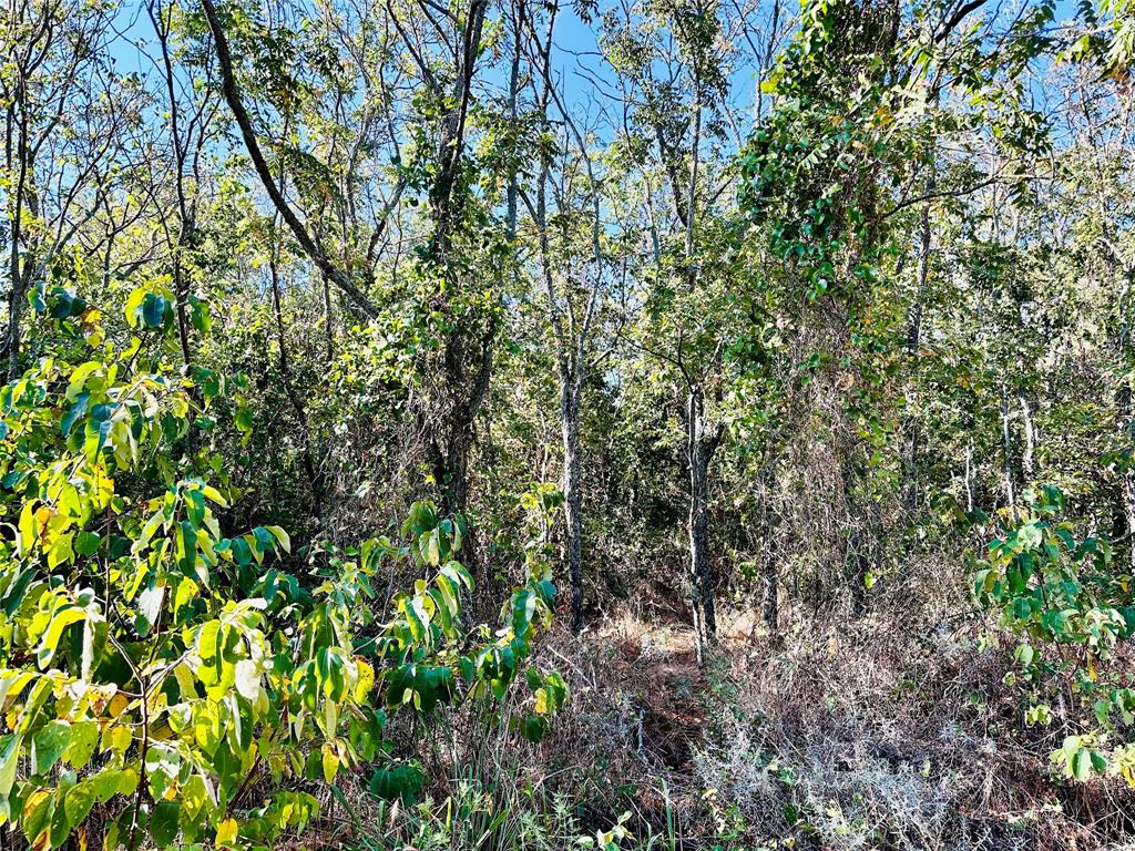 Tbd Cr 419 Property Photo 3