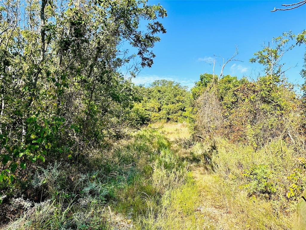 Tbd Cr 419 Property Photo 4