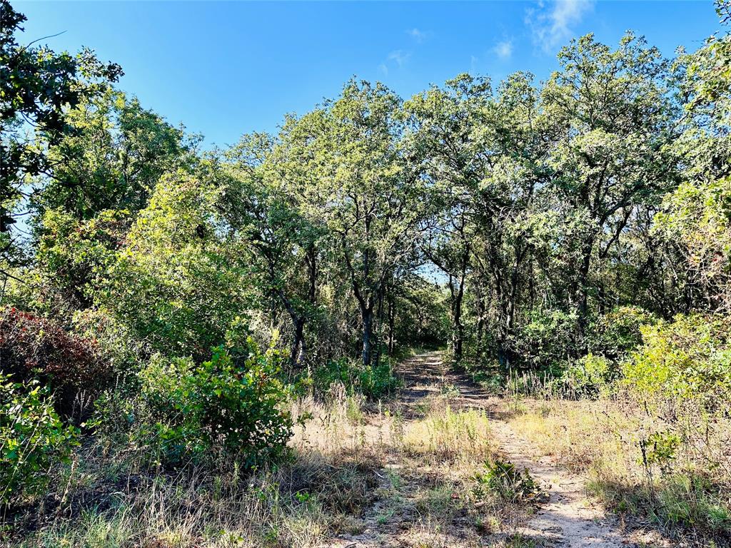 Tbd Cr 419 Property Photo 5